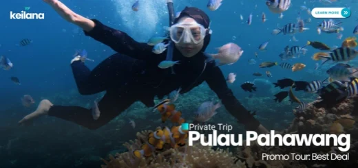 Paket Wisata Pahawang