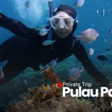 Trip Pahawang