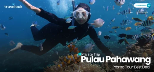 paket wisata pahawang