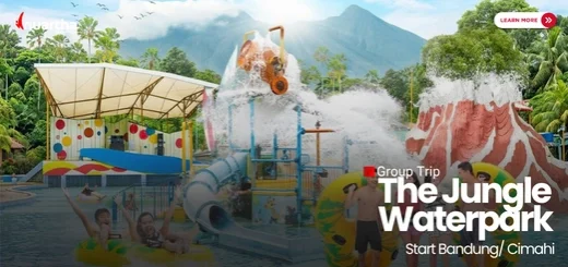 outing-jungle-water-park