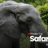 paket wisata taman safari